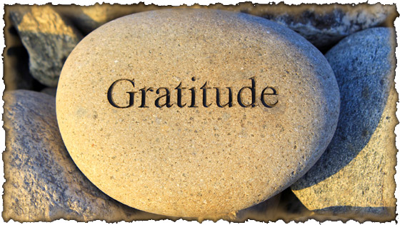 Gratitude Roundup
